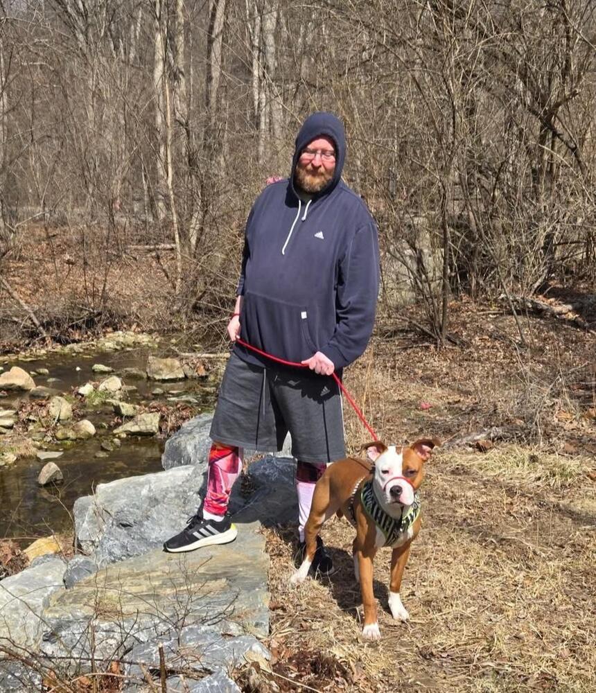 Enlarge Bowie, a Adoptable mixed breed in Willingboro, NJ image 5/6