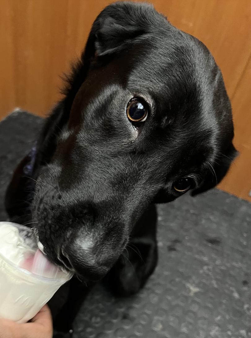 Banko photo