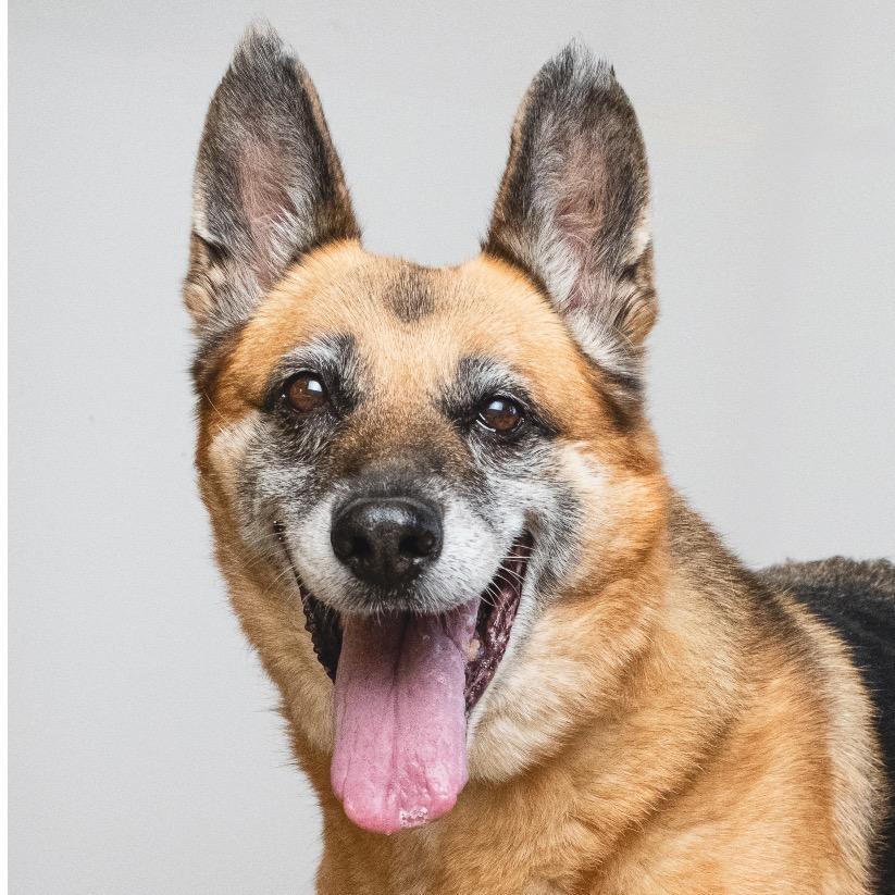 Greta — thumbnail 3