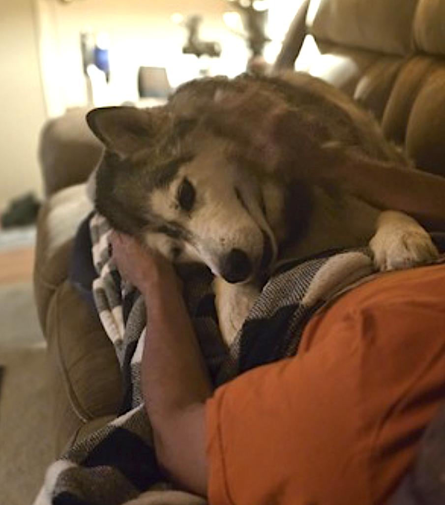 Dakota — thumbnail 5