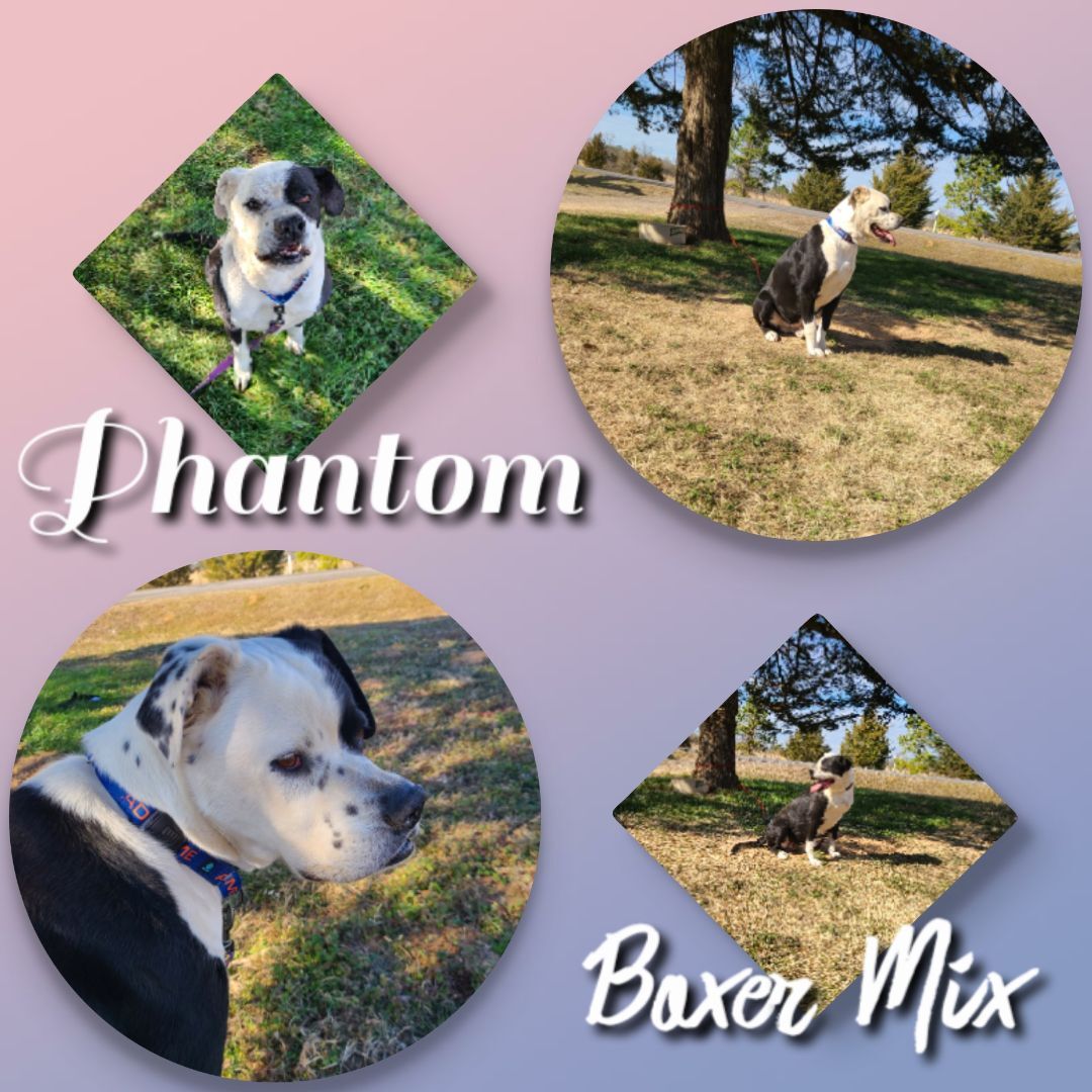 Phantom, Adult Male unknown
