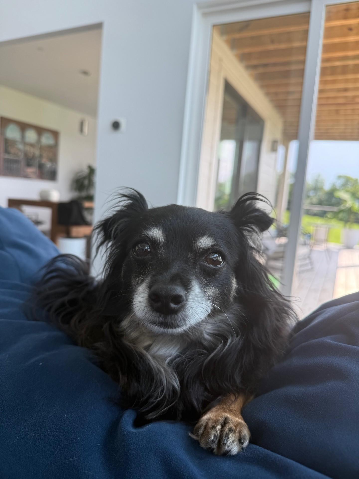 Willie, Senior Male unknown