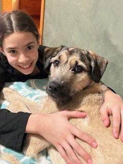 Enlarge Birdie, a Adopted Terrier in Brooklyn Center, MN image 3/3