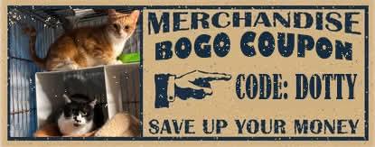 Enlarge Discount Dan & Coupon Carl, a Adoptable Domestic Short Hair in Lake Hopatcong, NJ image 5/5