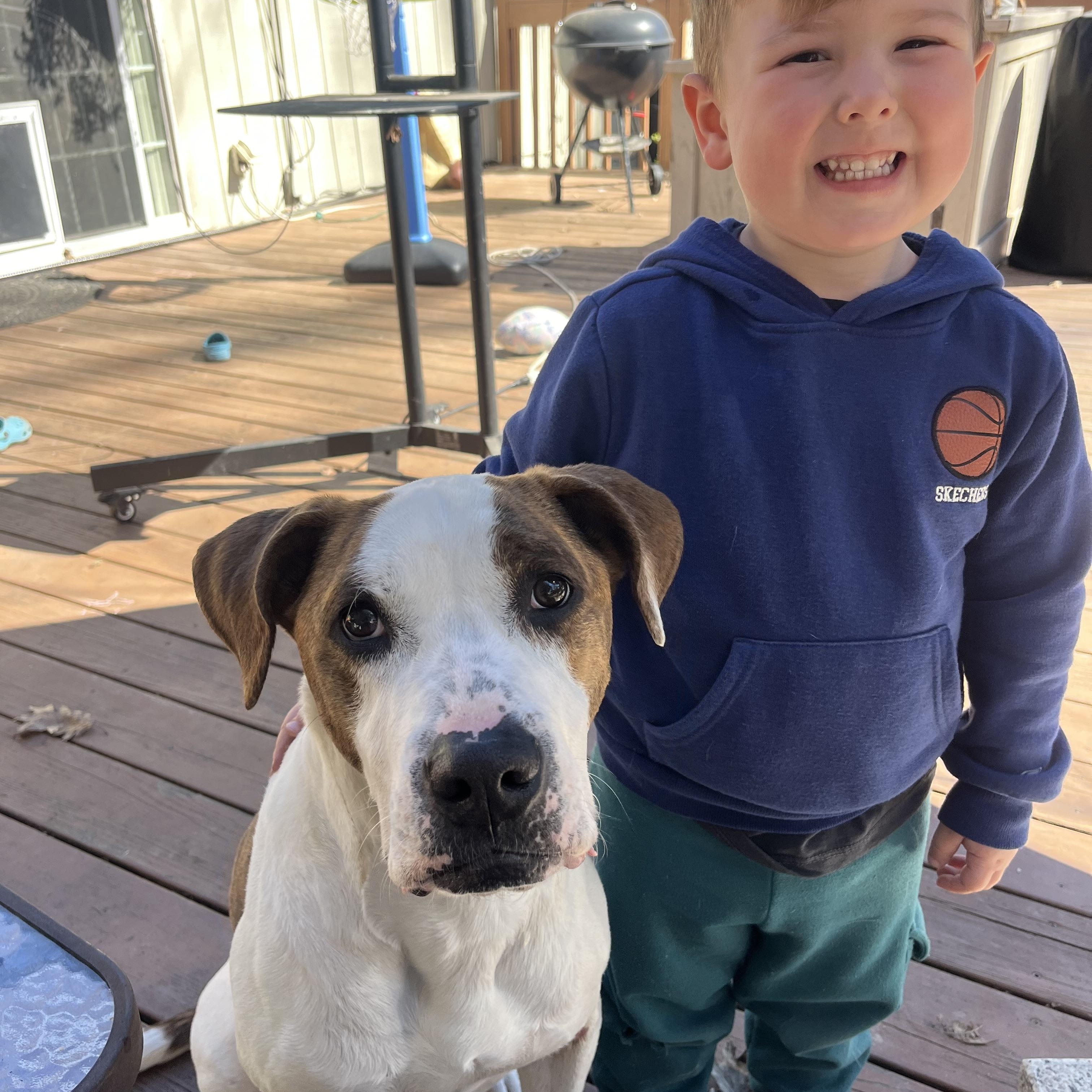 Brisket 0124 — thumbnail 3