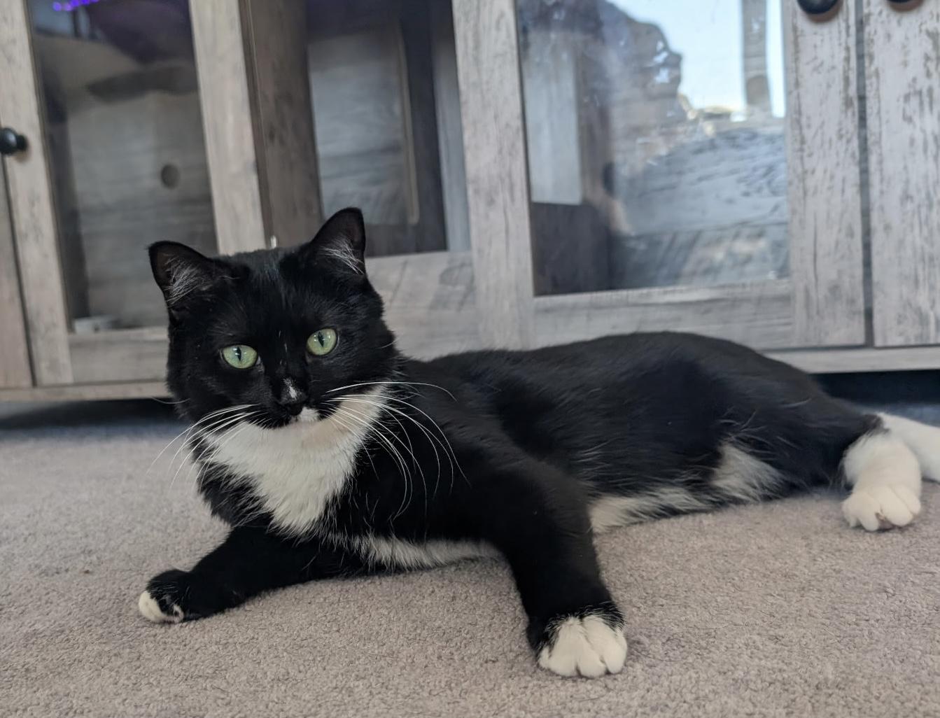 Salty — thumbnail 4