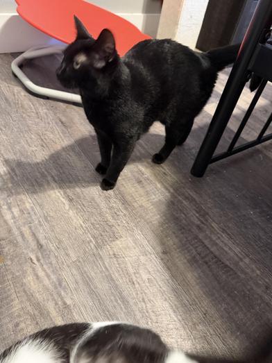 Lilly — thumbnail 2