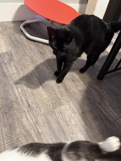 Lilly — thumbnail 6