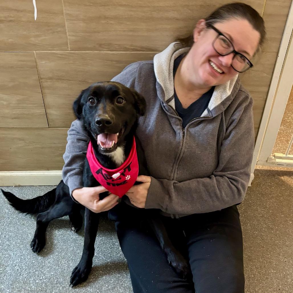 Enlarge Pebbles, a Adoptable mixed breed in Metamora, MI image 4/6