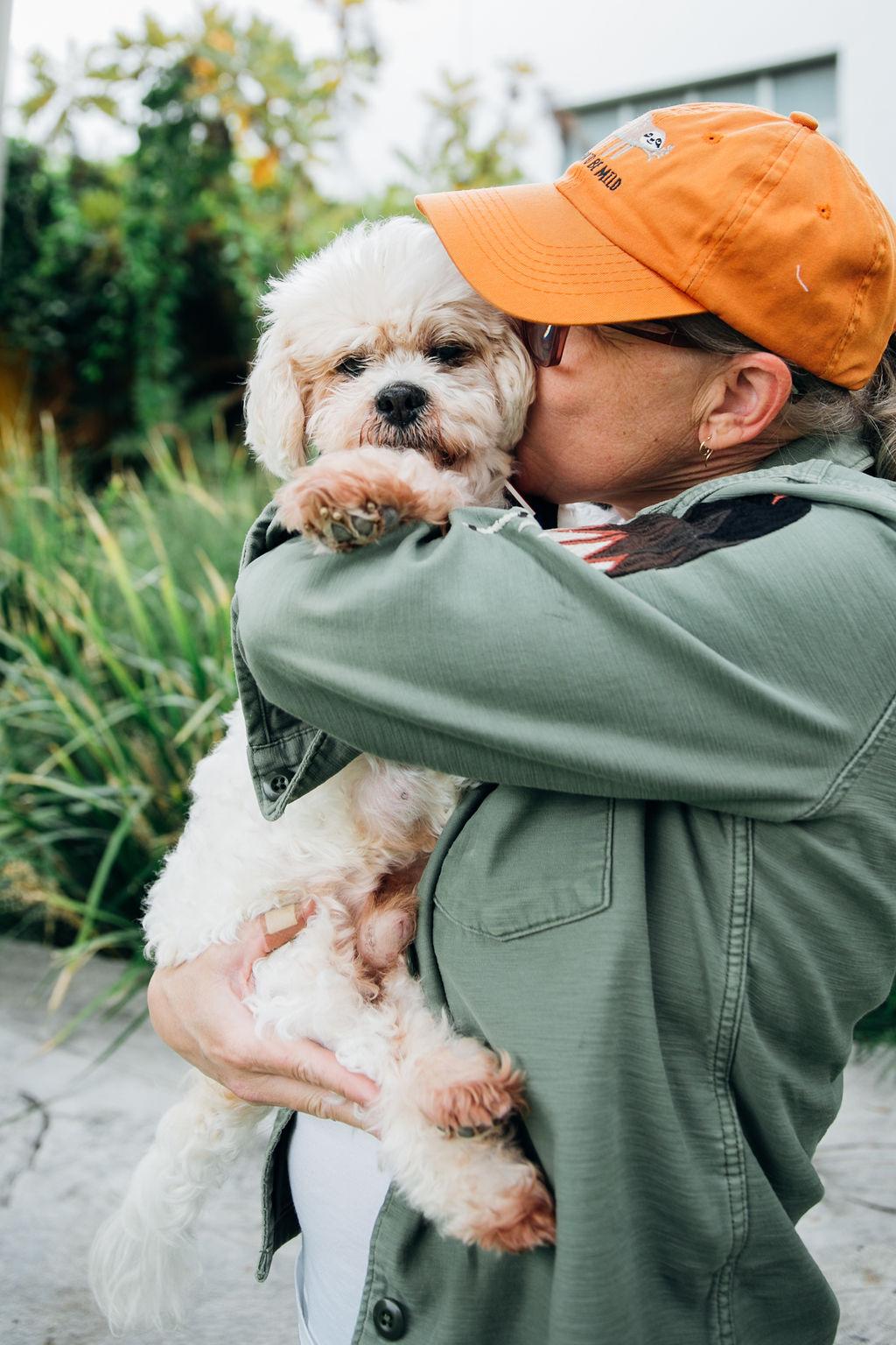 Nosh, an adoptable Cockapoo, Shih Tzu in Los Angeles, CA, 90035 | Photo Image 3