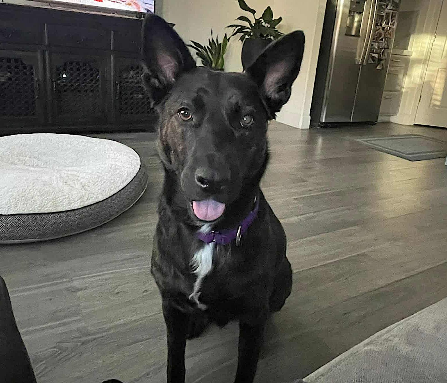 Donna — thumbnail 5