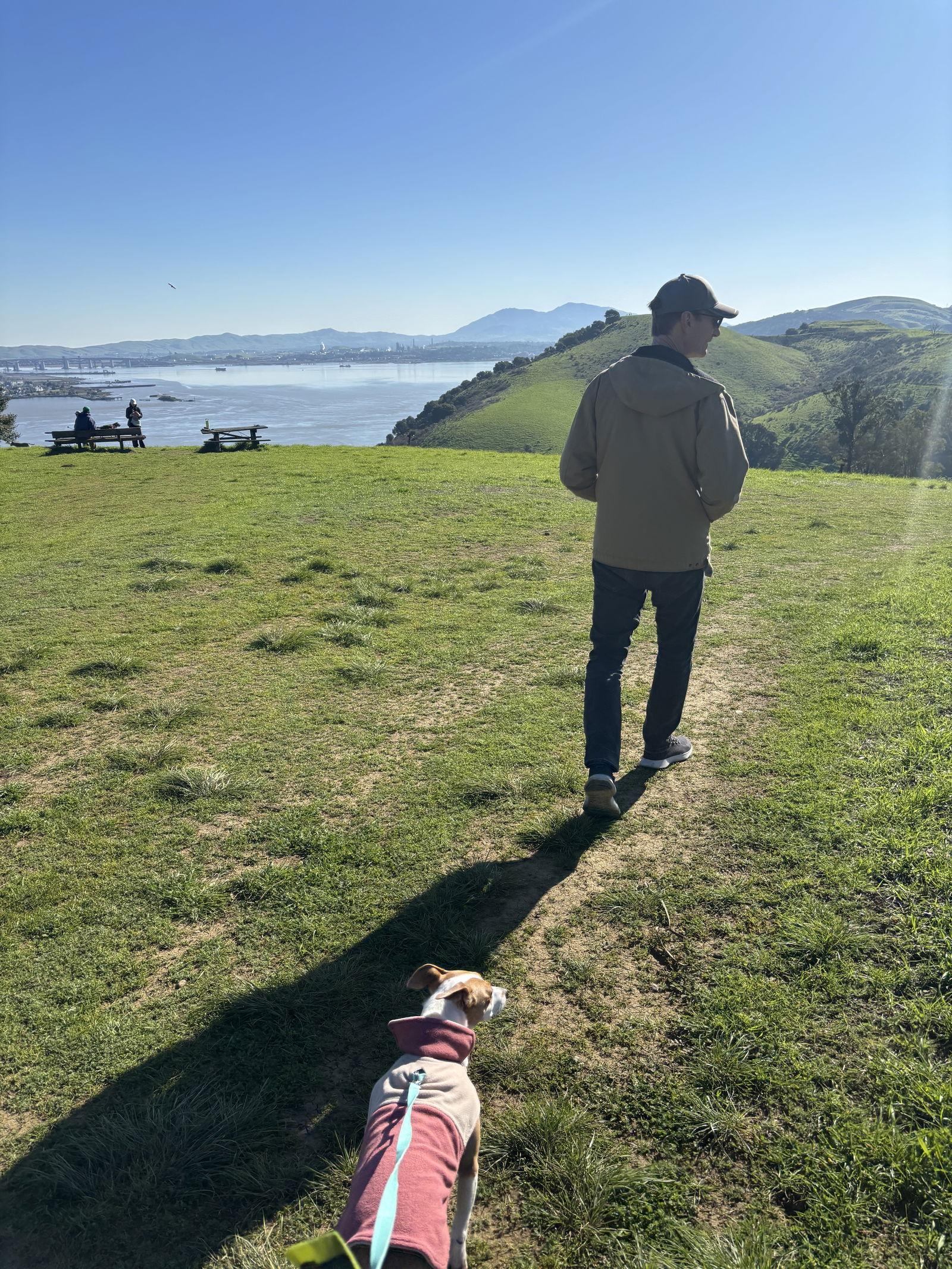 Enlarge Cupcake, a Adoptable Rat Terrier in Davis, CA image 3/3