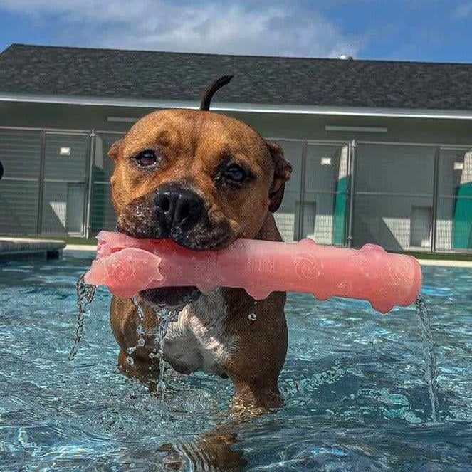 Peppa, a Adoptable mixed breed in Helena, AL image 4/6