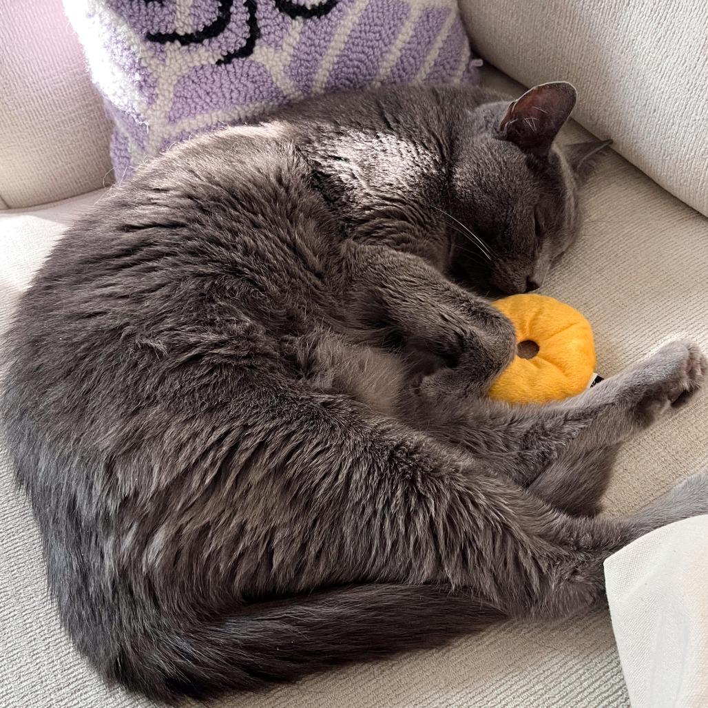 Backpack — thumbnail 2