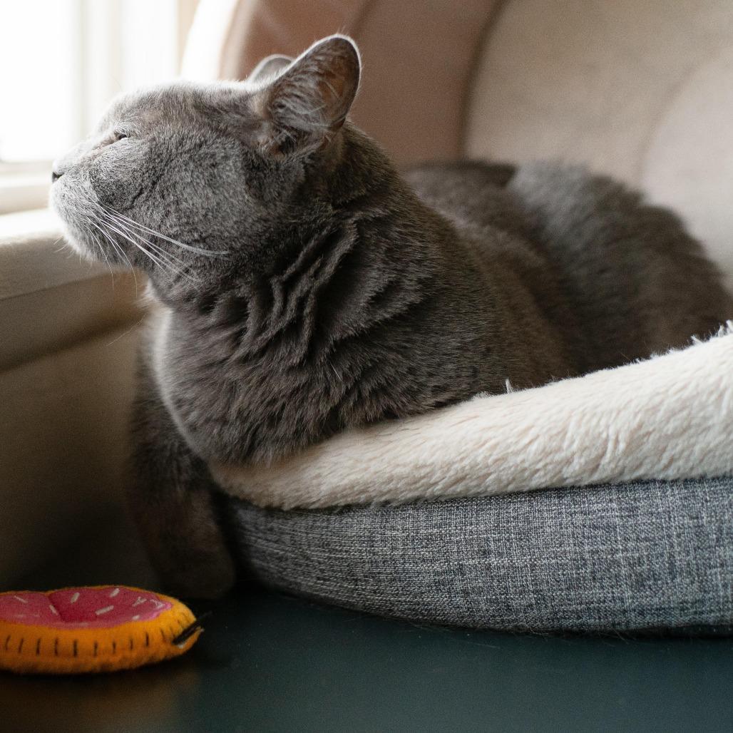 Backpack — thumbnail 3