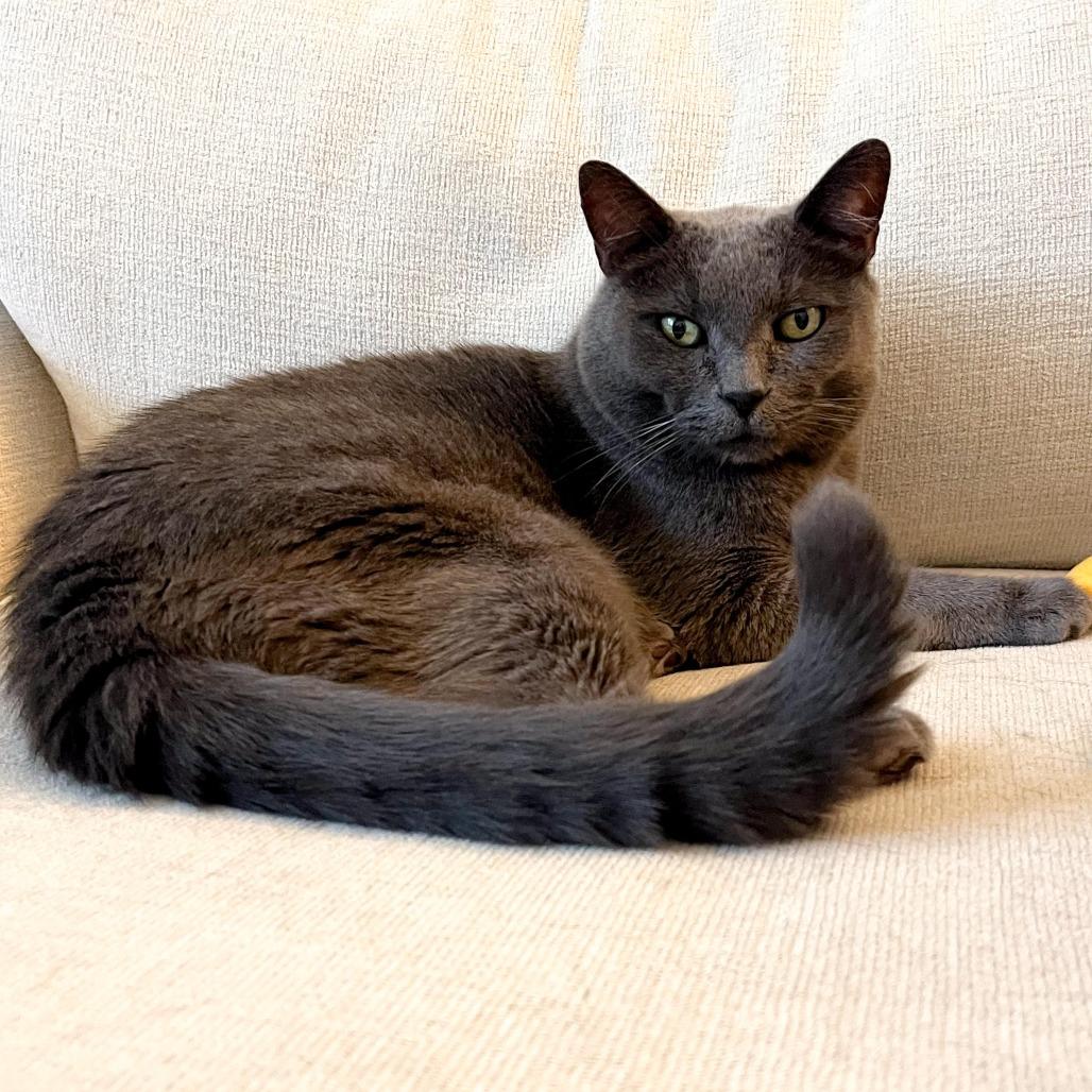 Backpack — thumbnail 4