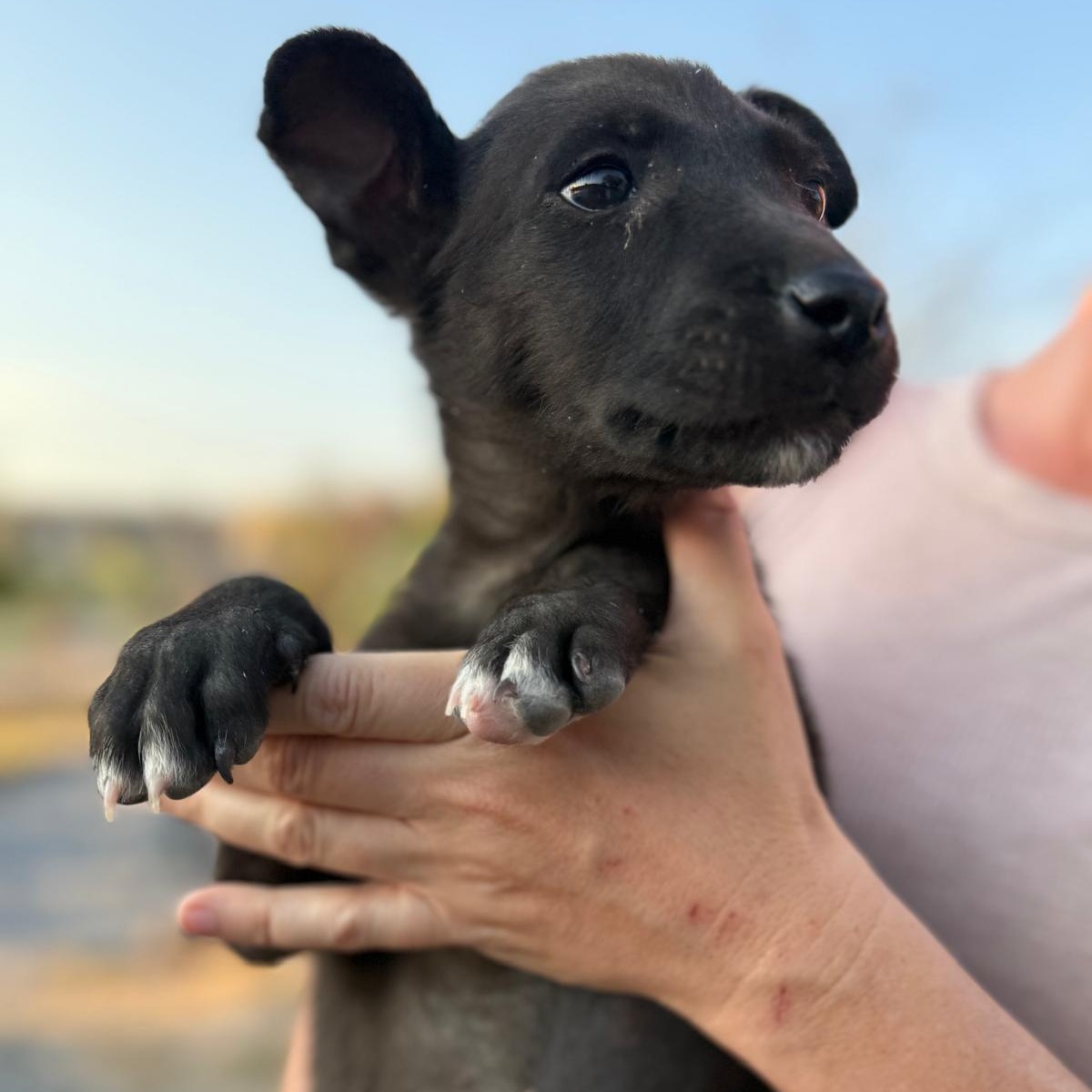 Tiny — thumbnail 5