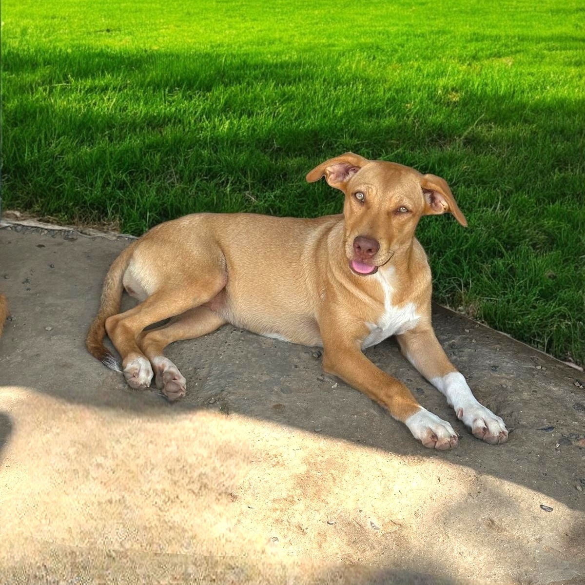 Paulina — thumbnail 3