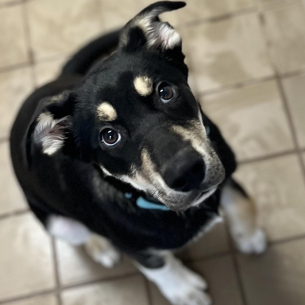 Damon — thumbnail 3