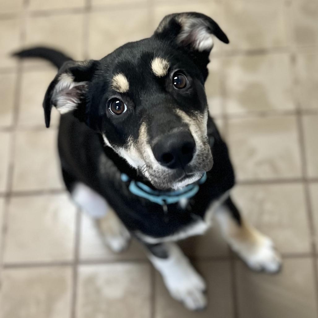 Damon — thumbnail 6