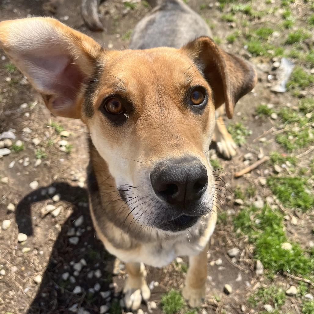 Lydia — thumbnail 2