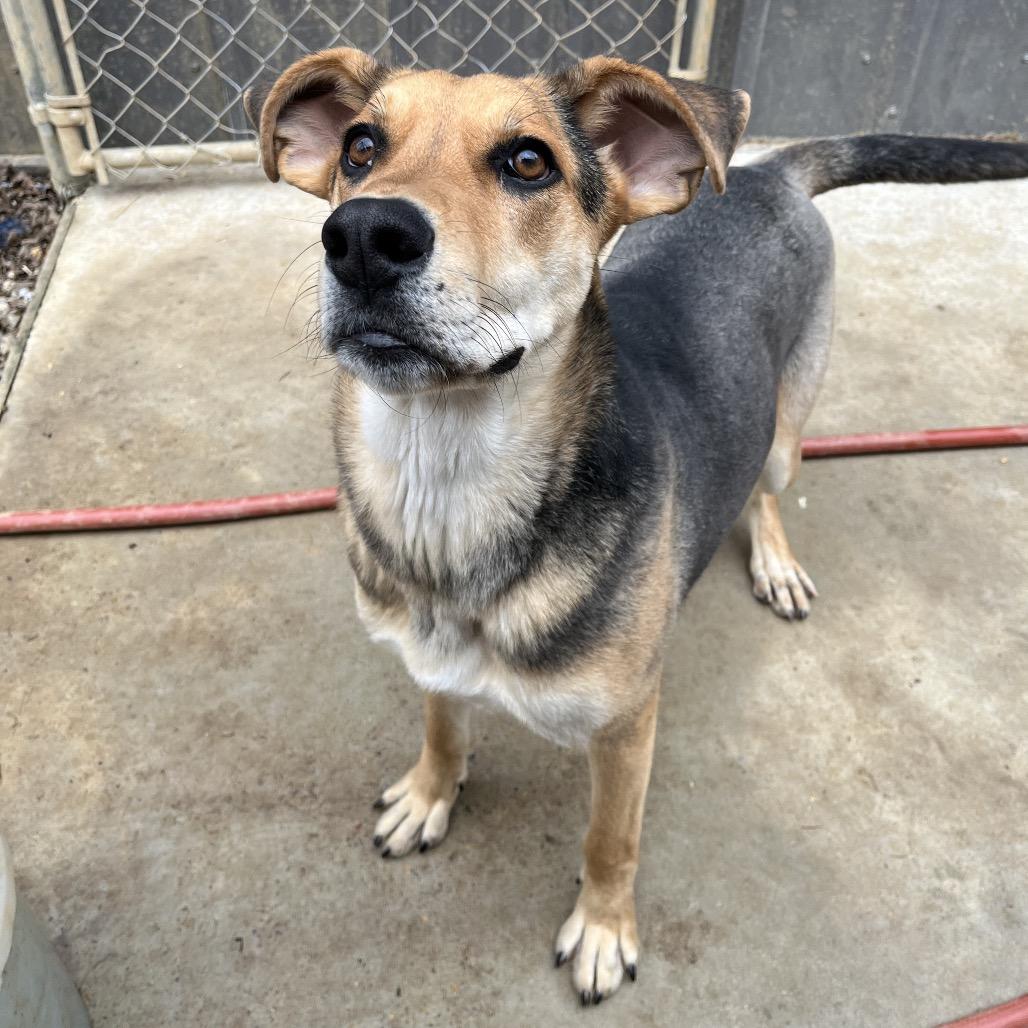 Lydia — thumbnail 3