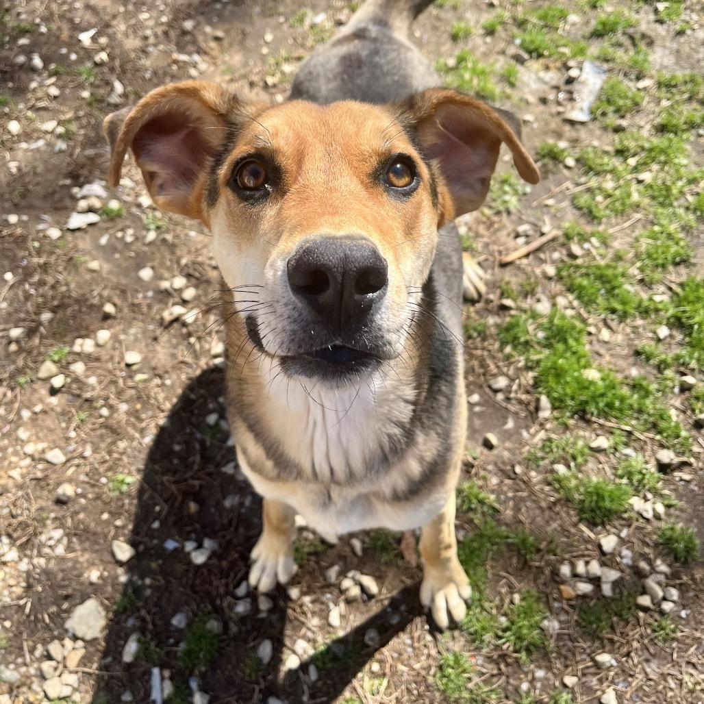 Lydia — thumbnail 4