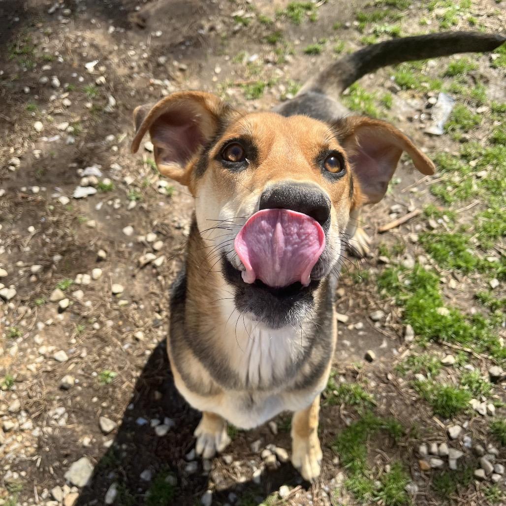 Lydia — thumbnail 6