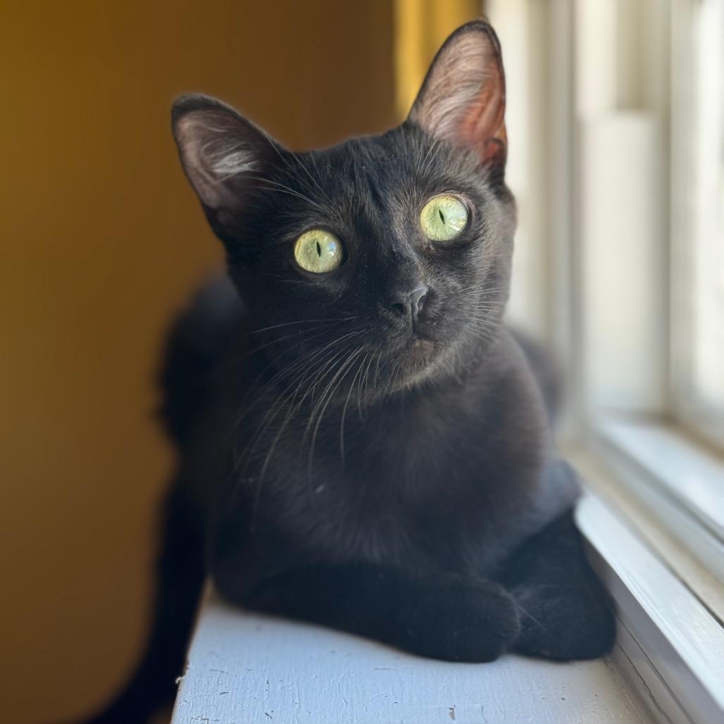 Eve