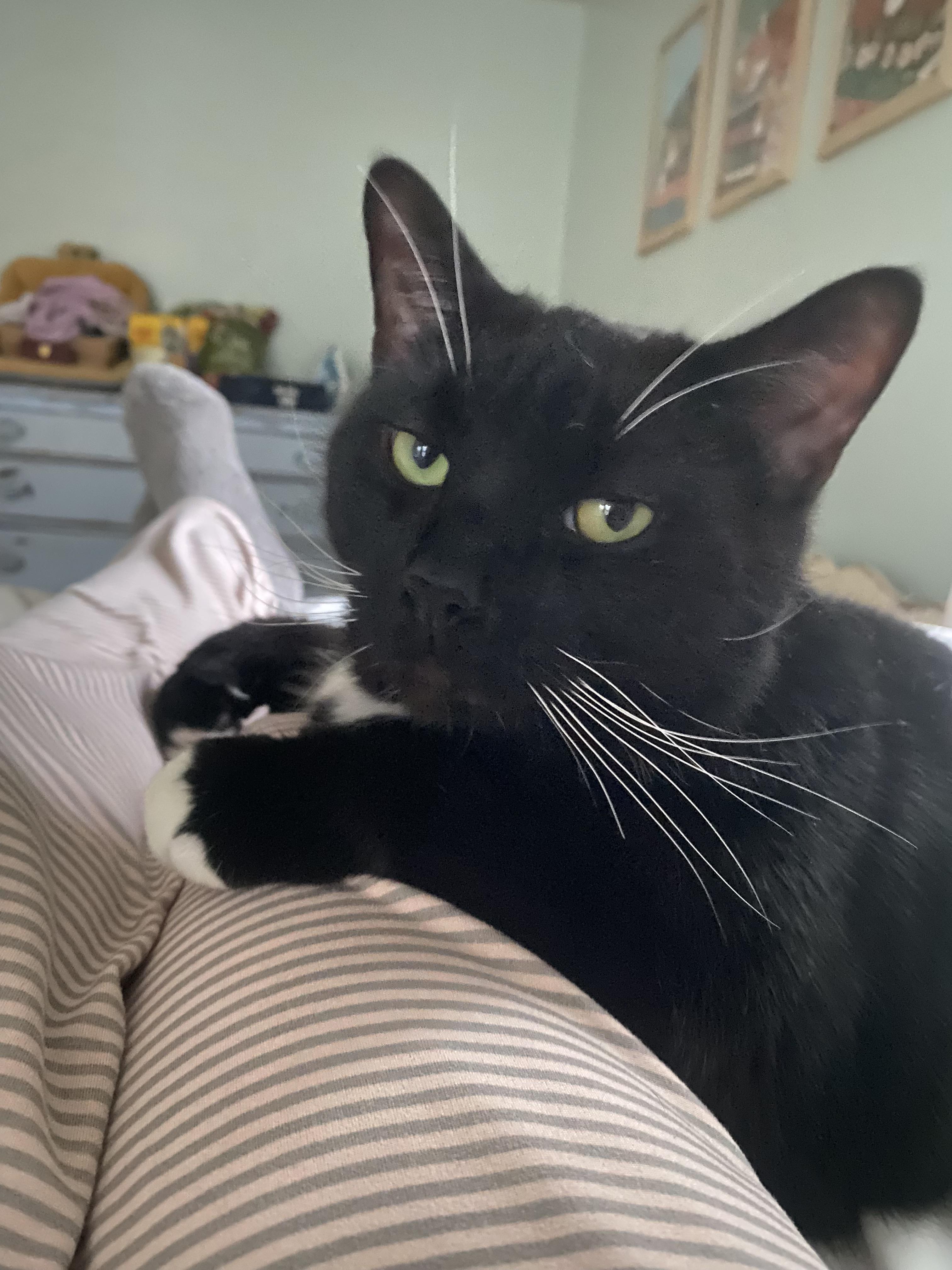 Tux