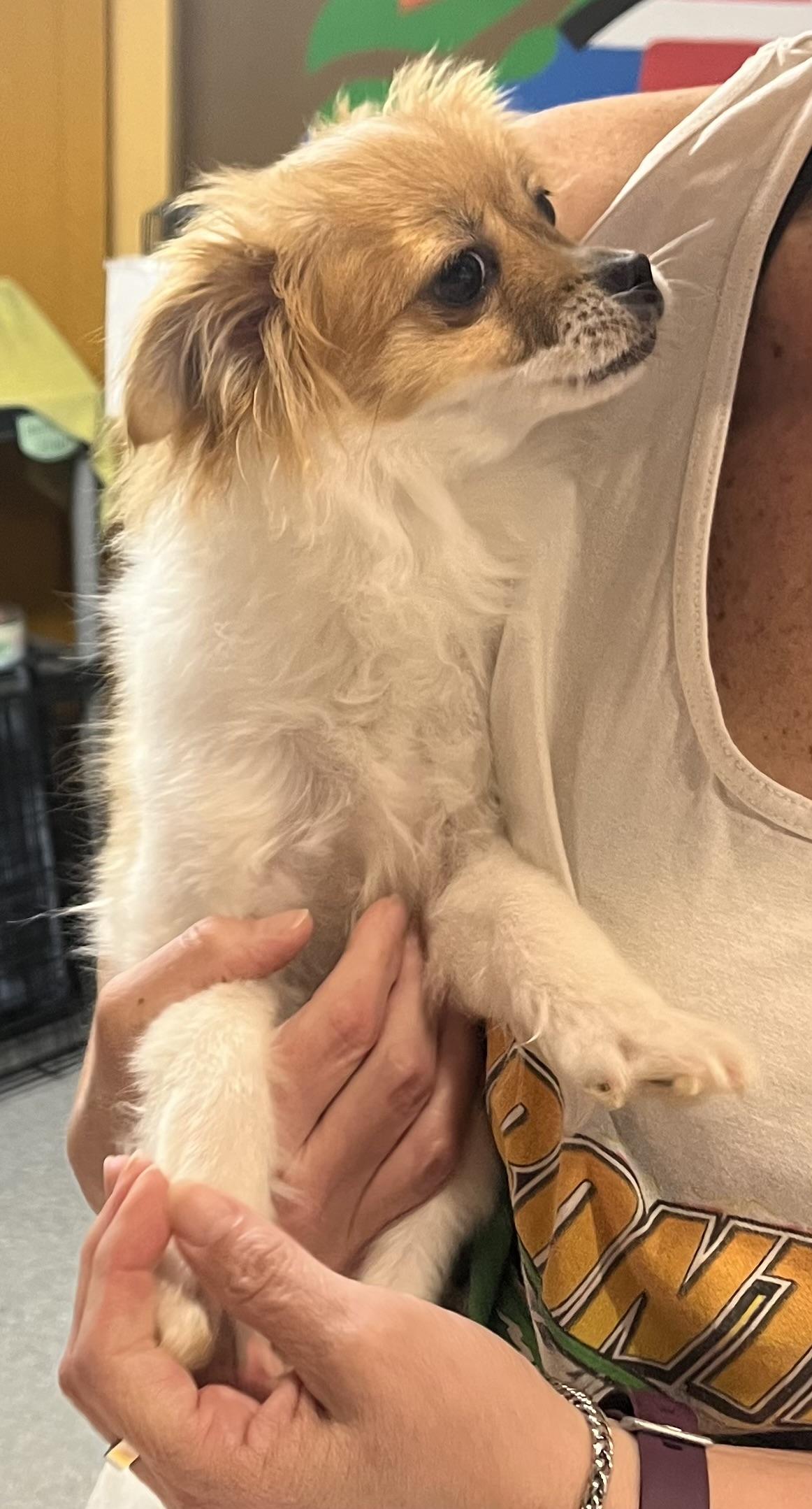 Cooper thumbnail 4