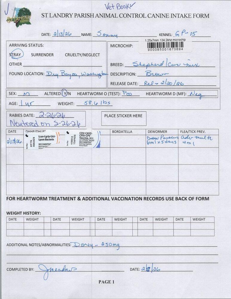 Enlarge Sonny, a Adoptable mixed breed in Opelousas, LA image 3/3