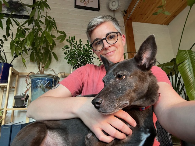 Diego, a Adoptable mixed breed in Chicago, IL image 3/6