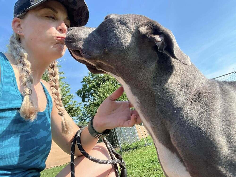 Louie (aka Nipsey), a Adoptable mixed breed in Mishawaka, IN image 5/6