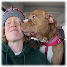 Enlarge Leo, a Adoptable Pit Bull Terrier in Ashland, OH image 3/5