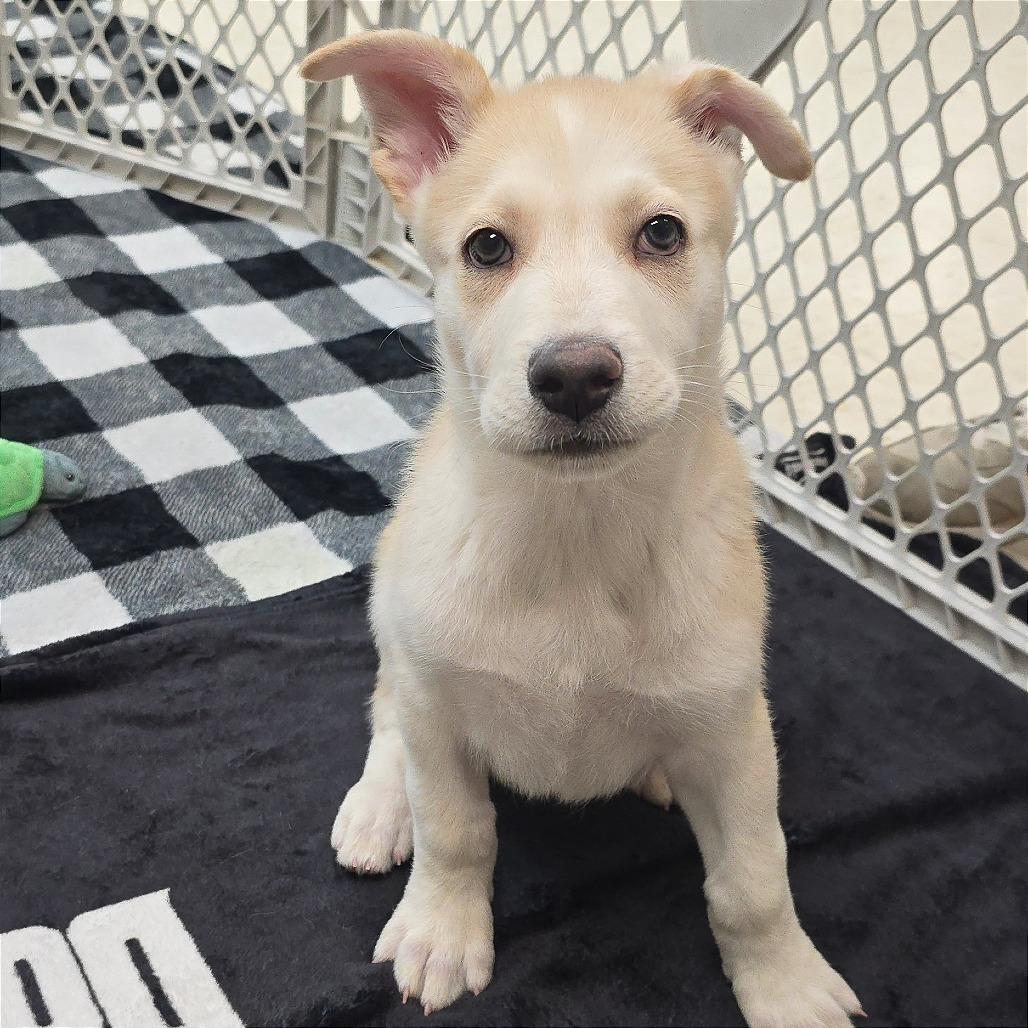 Green — thumbnail 3