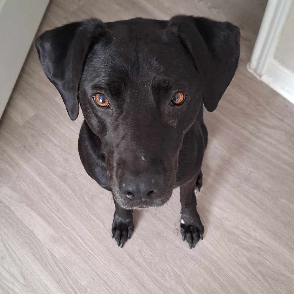 Cabela — thumbnail 2