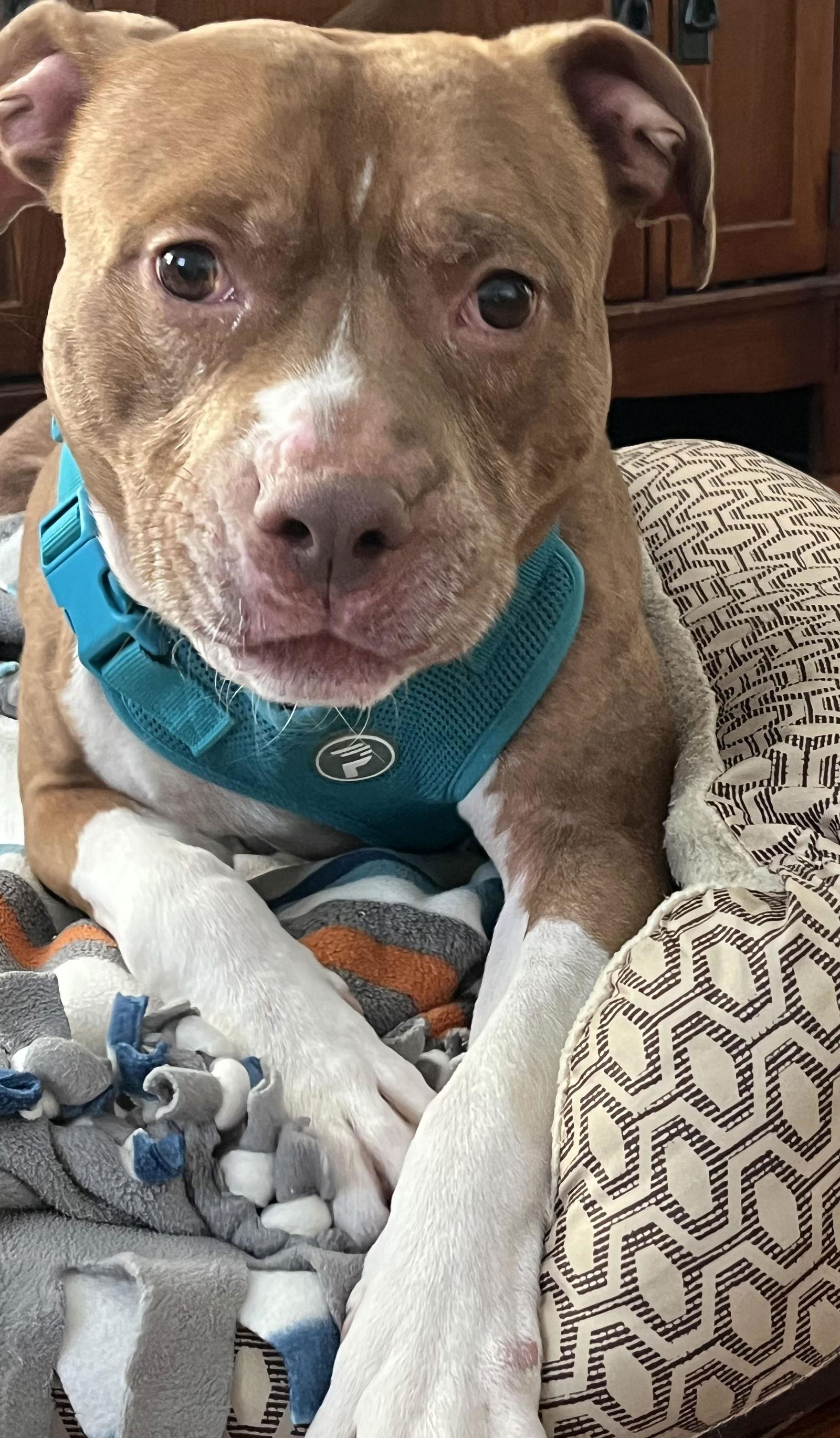 Coco Ross thumbnail 2