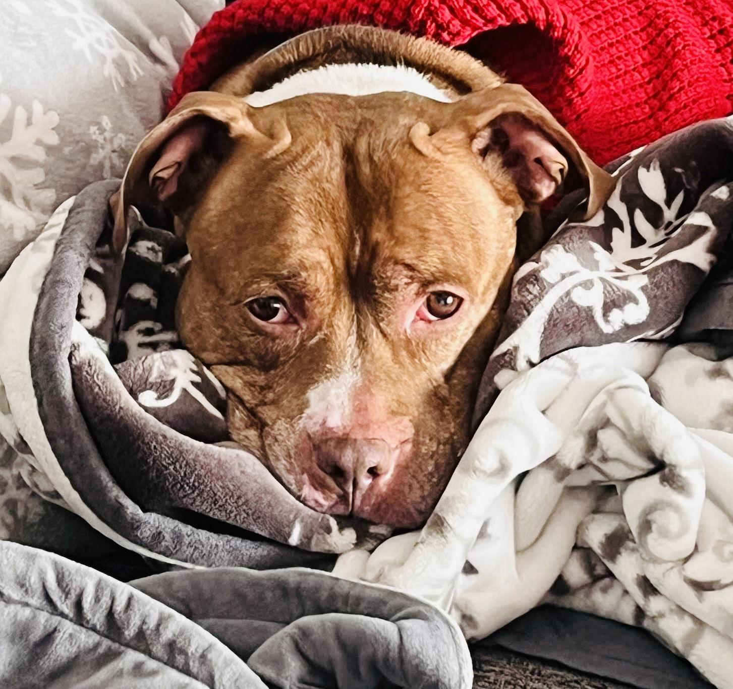 Coco Ross thumbnail 3