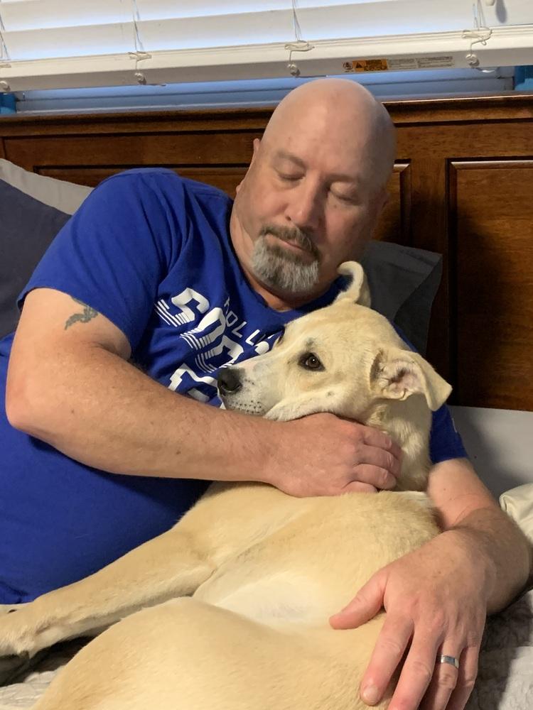 Enlarge Cupid, a Adoptable mixed breed in Middletown, CT image 2/6