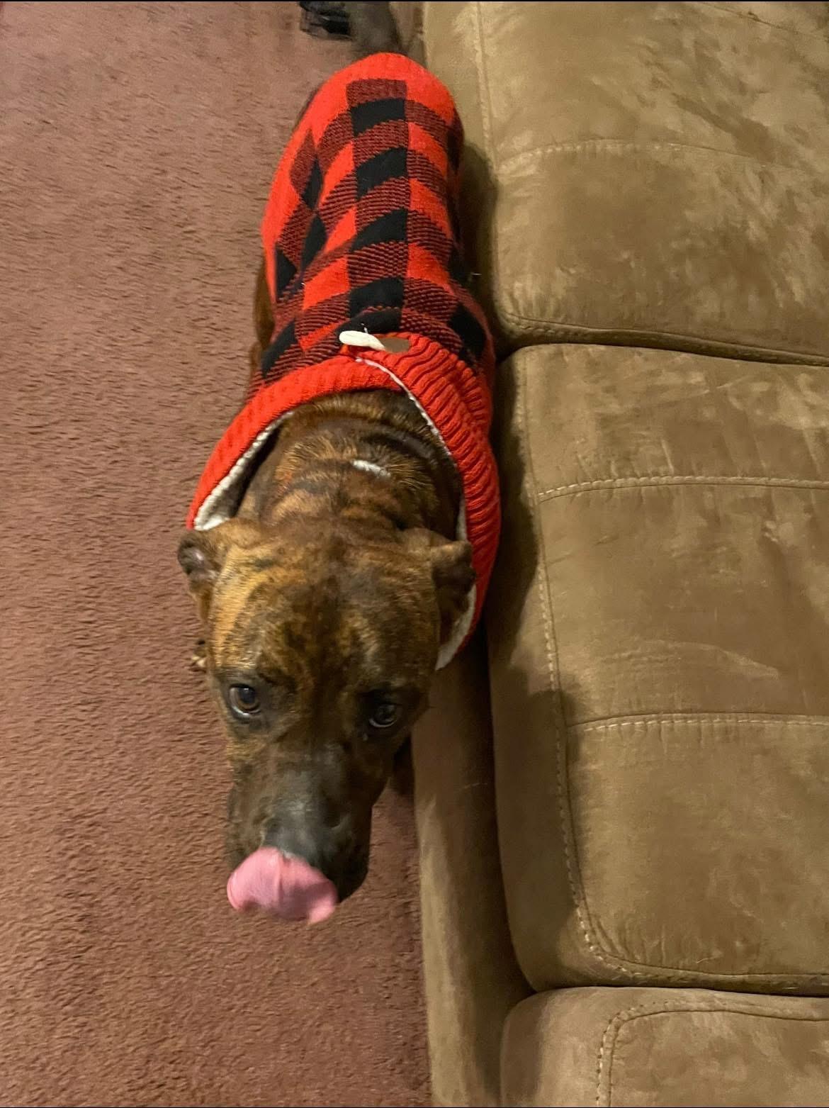 Remi