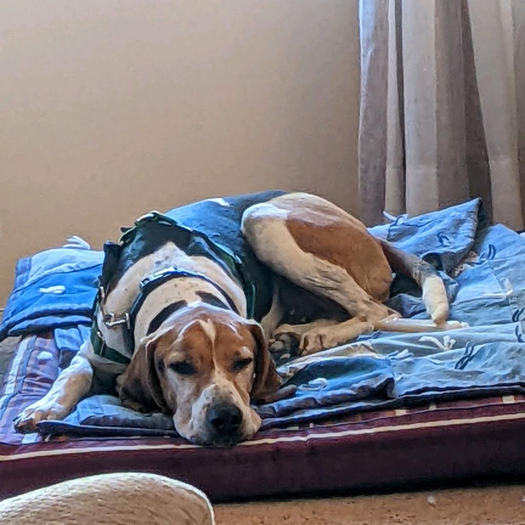 Skitter — thumbnail 4