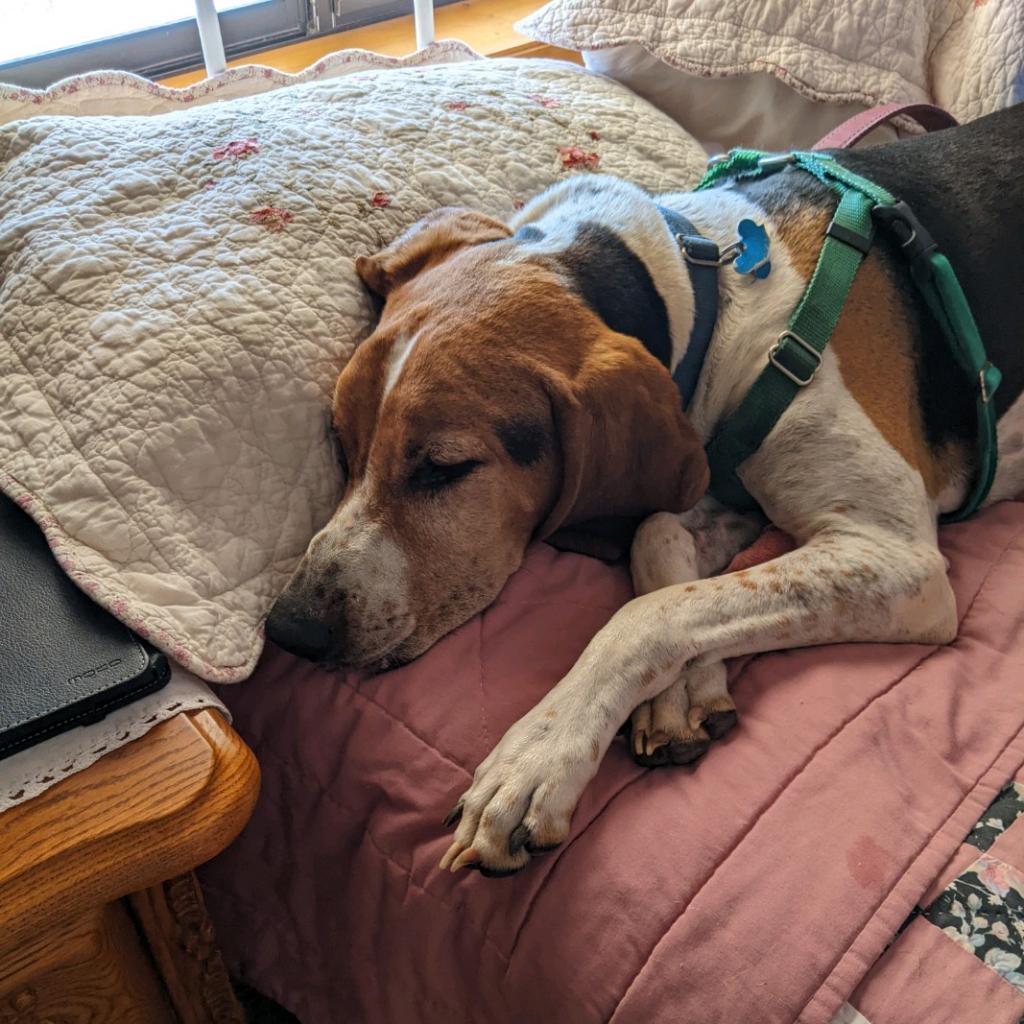 Skitter — thumbnail 5