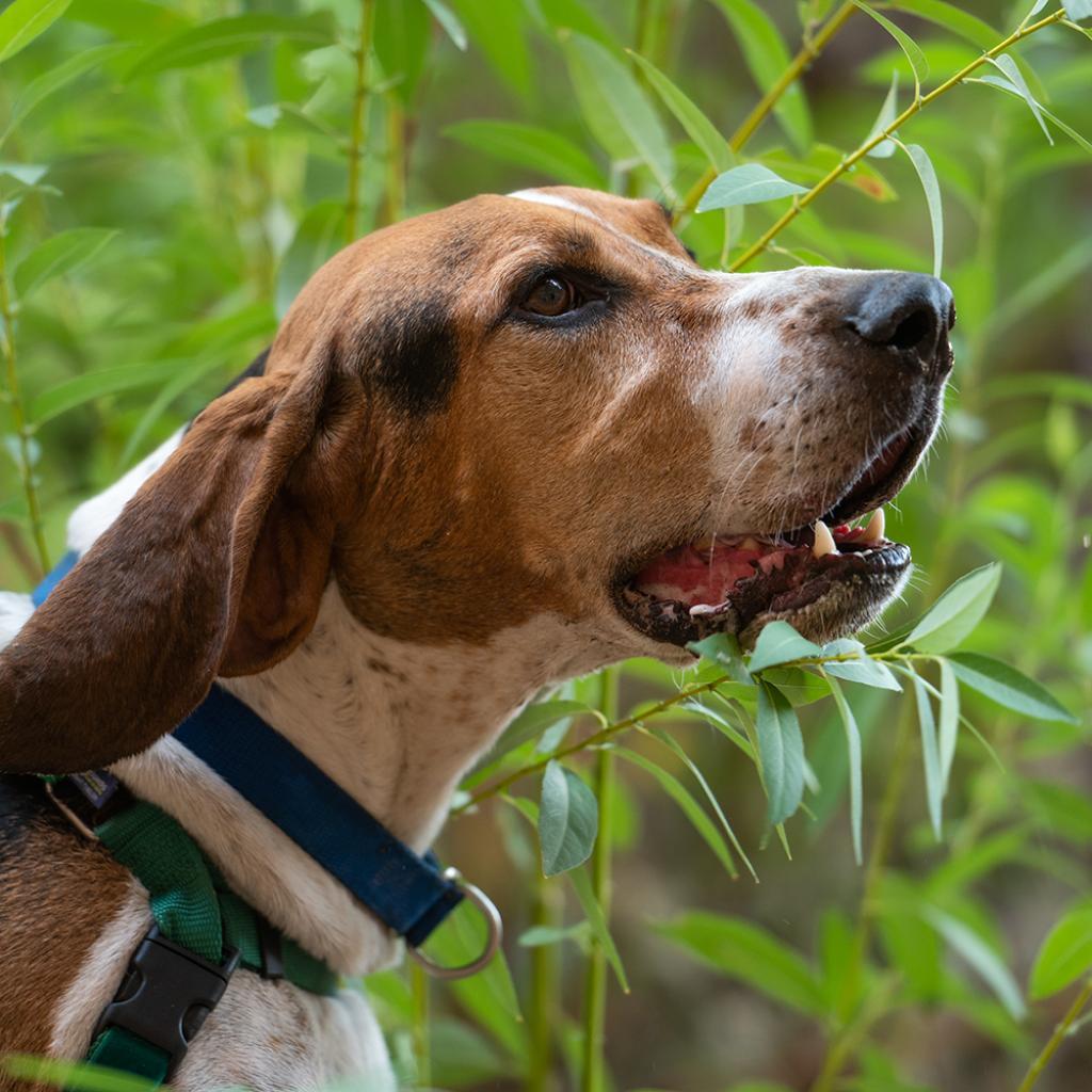 Skitter — thumbnail 6