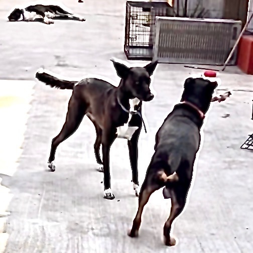 Tipper! photo 3