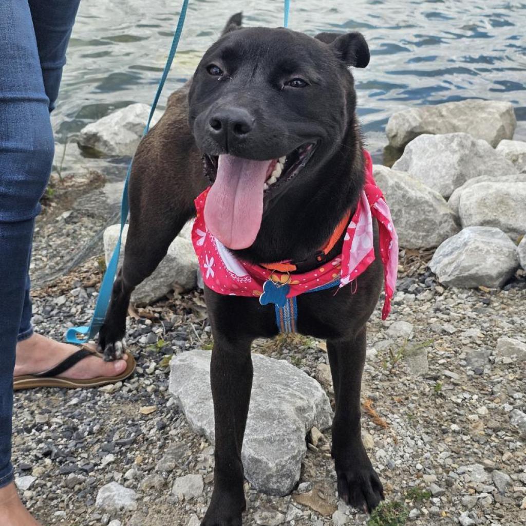 Qahwa — thumbnail 2