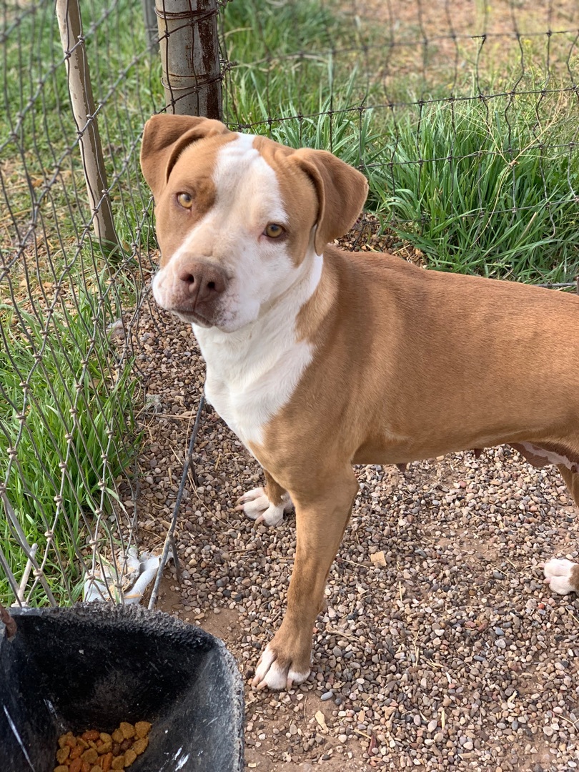 Lady — thumbnail 3