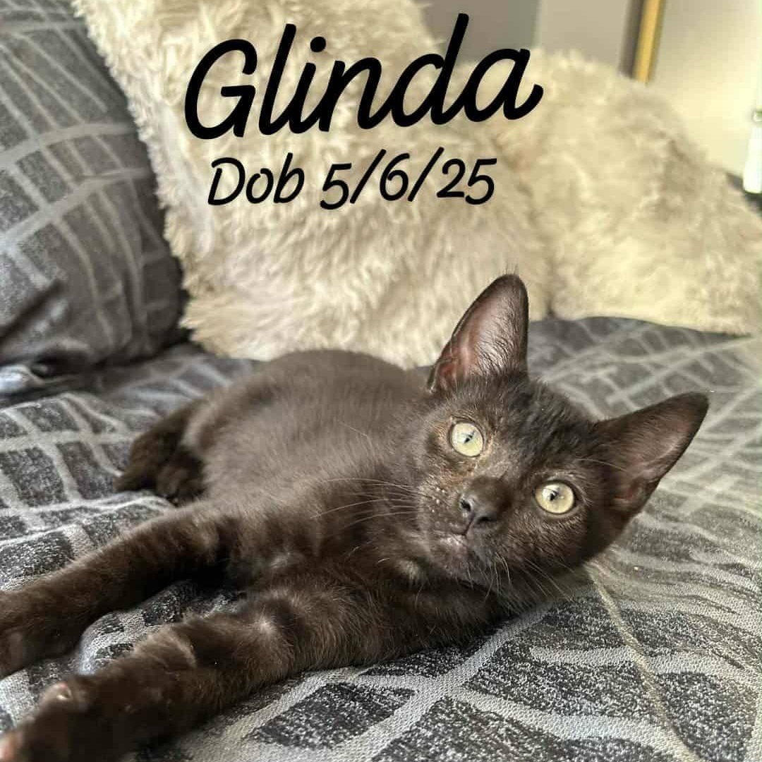 Glinda