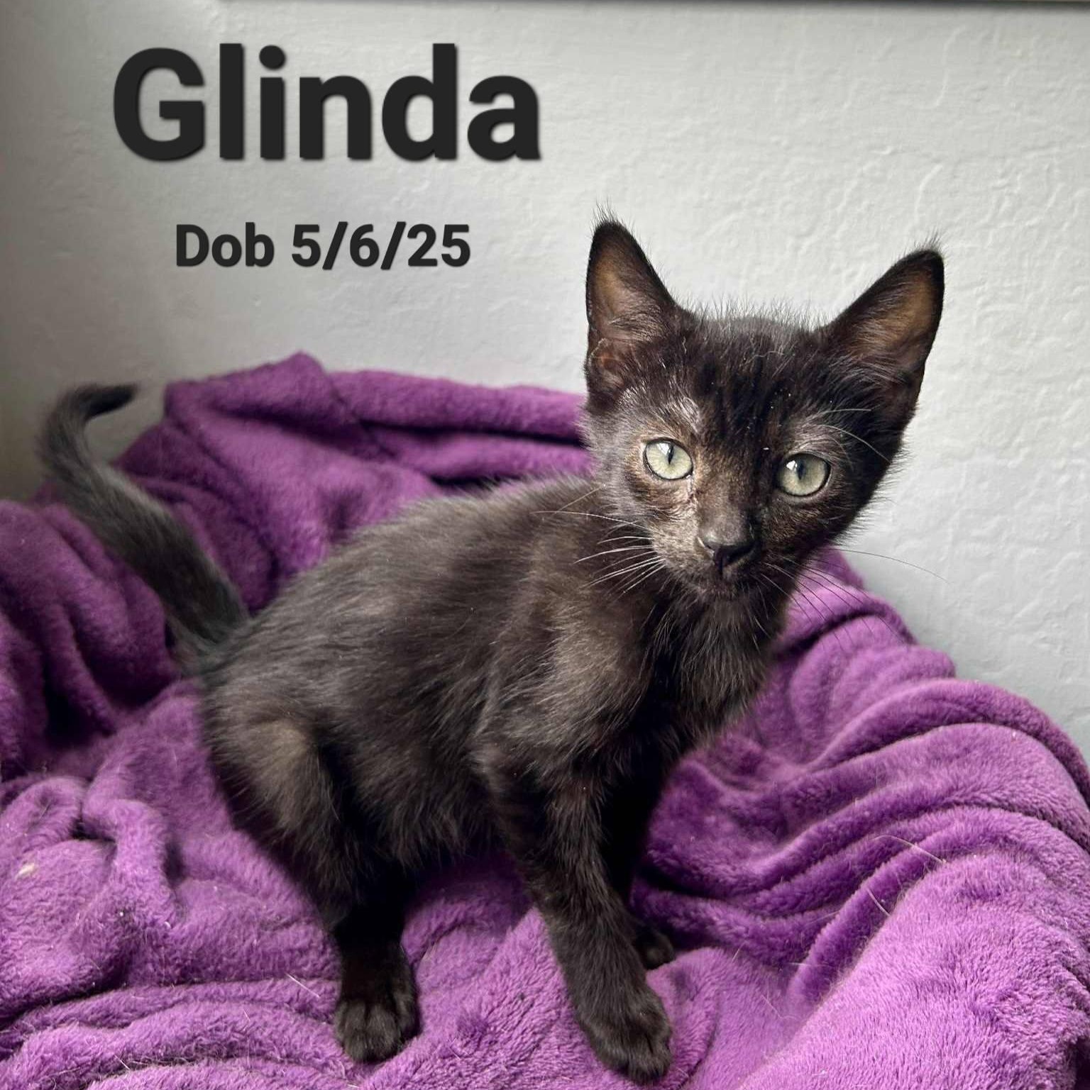 Glinda
