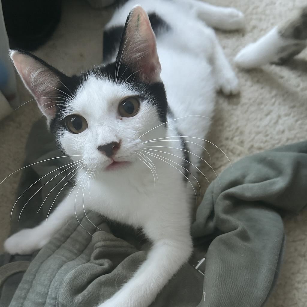 Haven — thumbnail 2